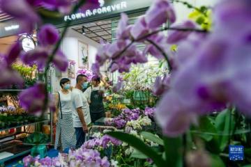 昆明斗南花市繁荣“夜经济”